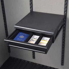 AXIS™ Money/Passport Drawer